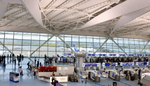 【子連れシンガポール1日目】羽田空港での朝・ANAの神対応・ホテルでのハプニングまでリアルレポ！